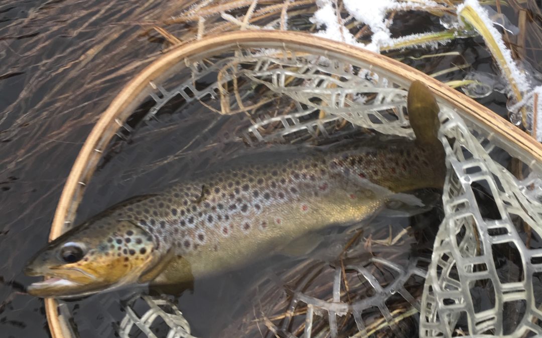 Winter fishing is better in the snow